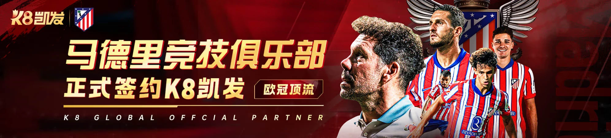 数据观察分类视觉